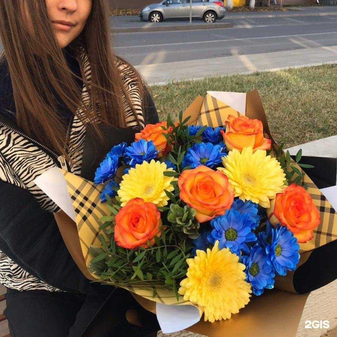 Отзывы на компанию Оранжевый верблюд в г. Кашира c фото