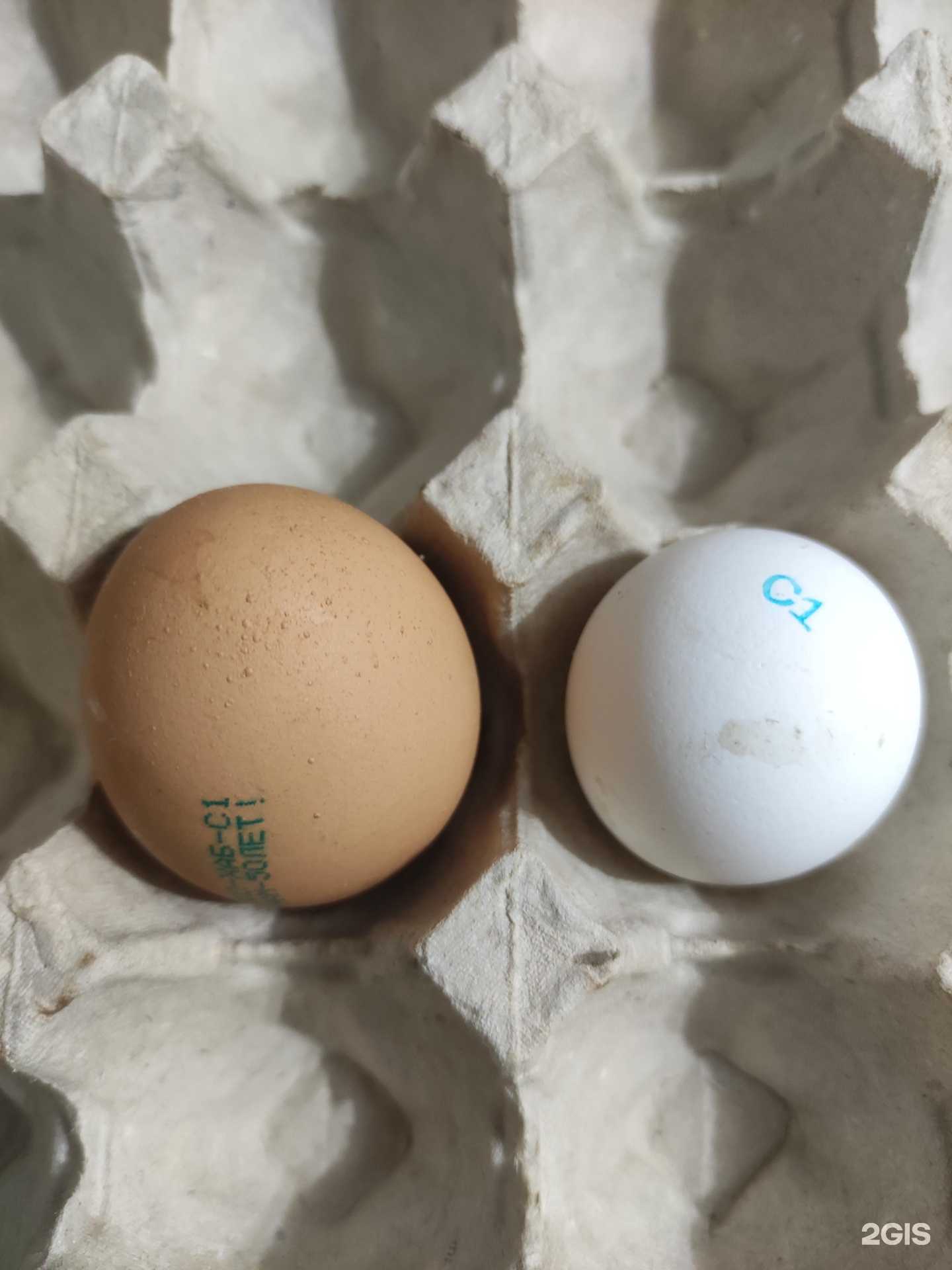 Отзывы на компанию Агида в г. Хабаровск c фото