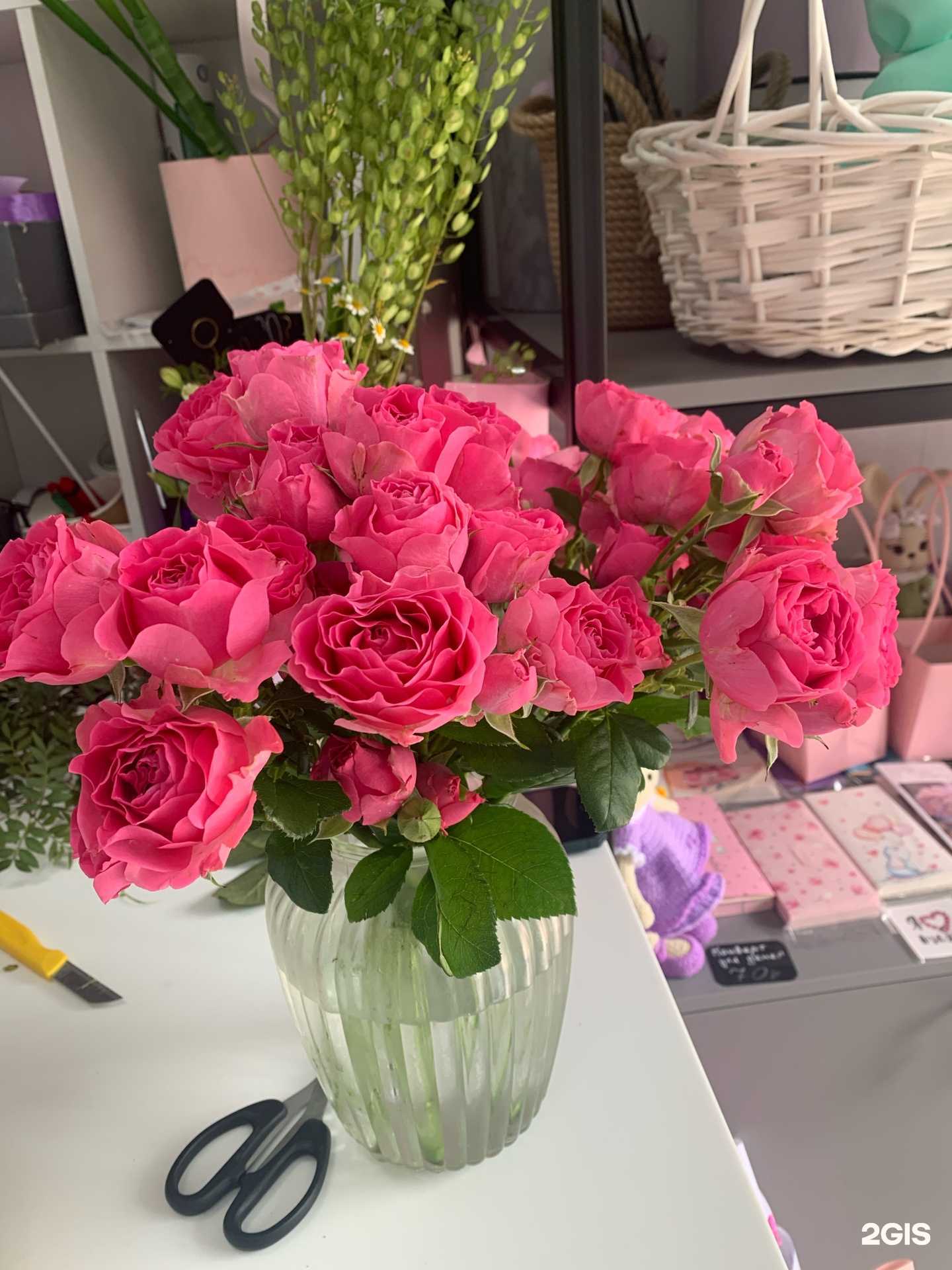 Отзывы на компанию Pro Цветы в г. Сочи c фото