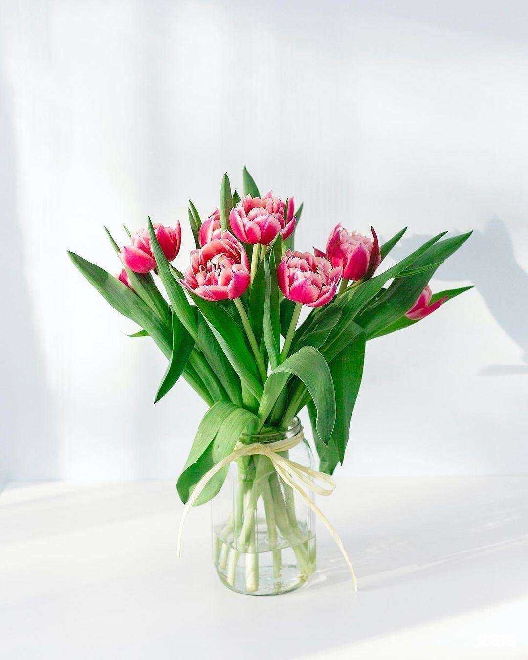 Отзывы на компанию Kalinin.Brand в Ульяновске c фото