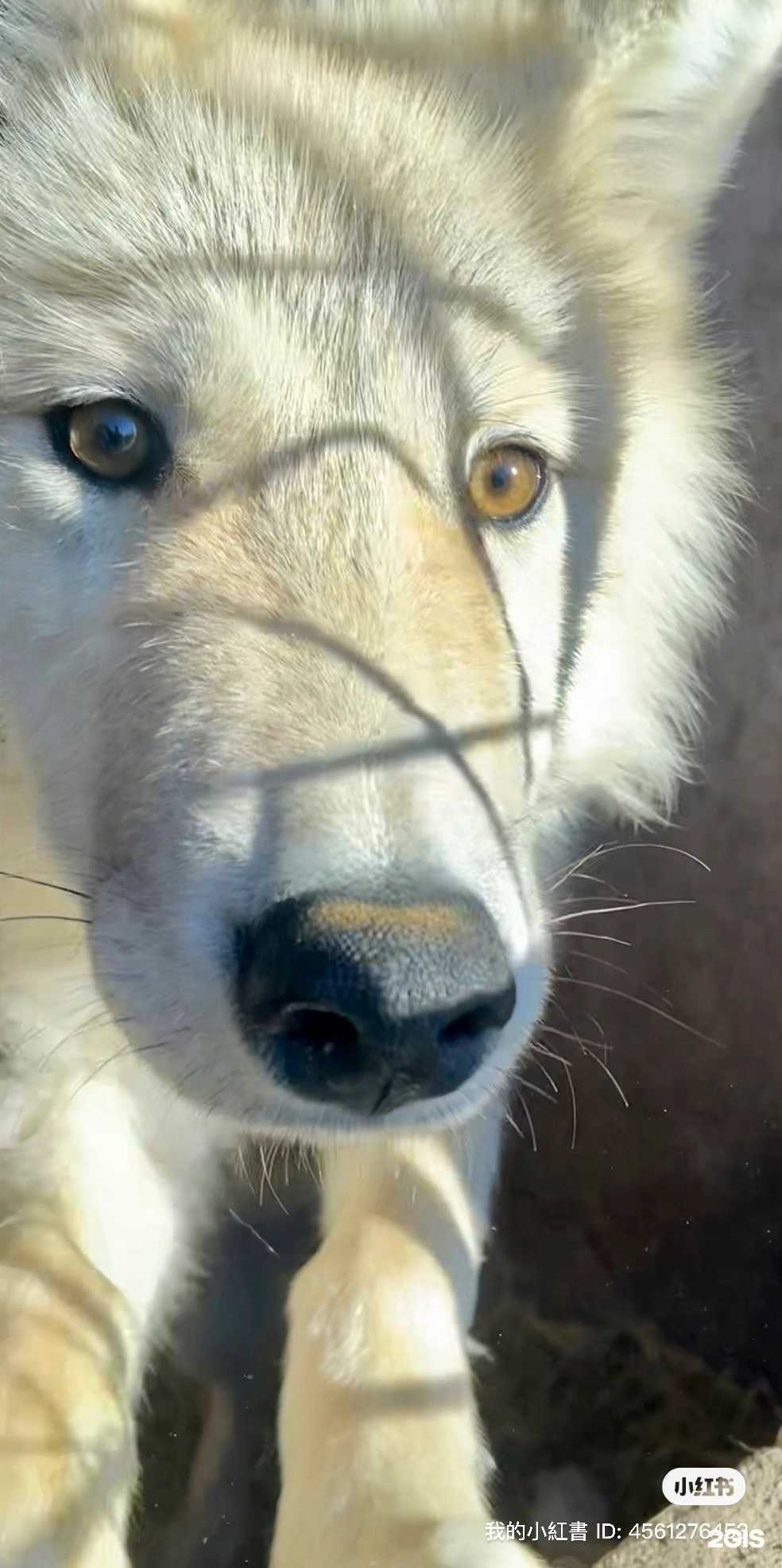 Отзывы на компанию Ярые ветра в г. Копейск c фото