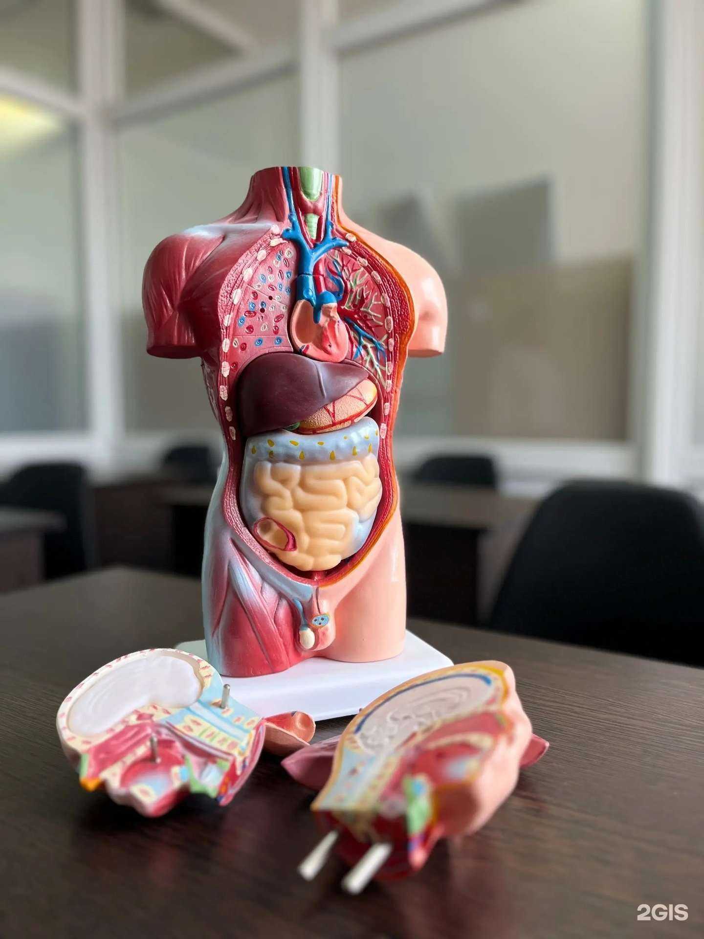 Отзывы на компанию Элементы успеха в Тюмени c фото