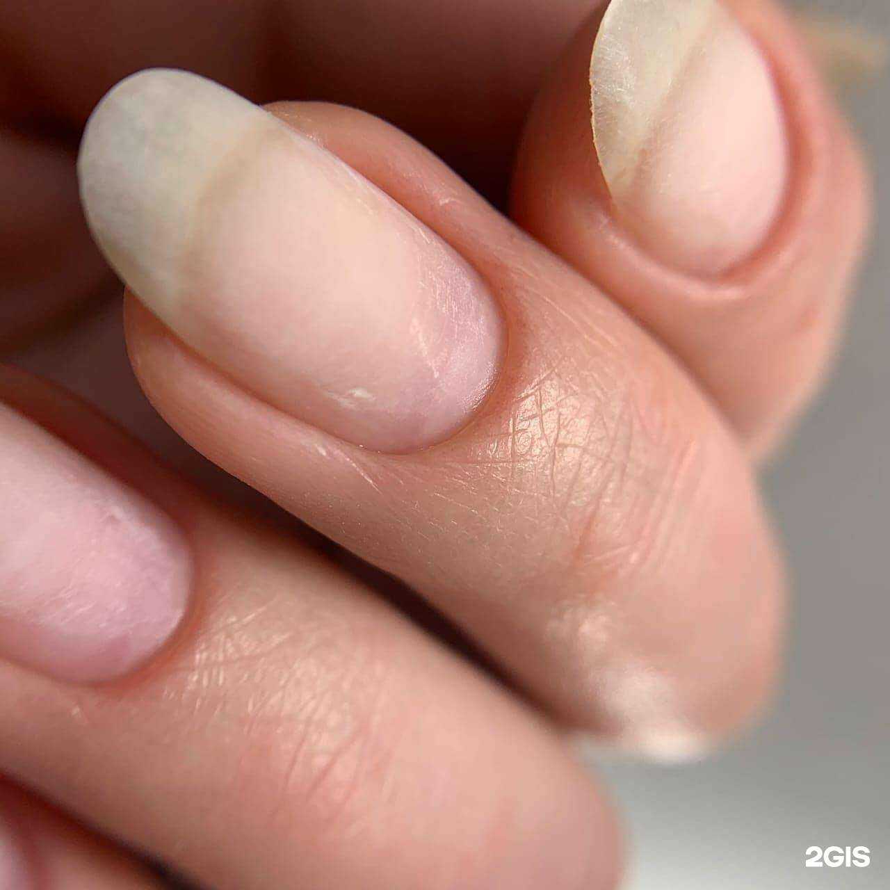 Отзывы на компанию BNB в Ижевске c фото