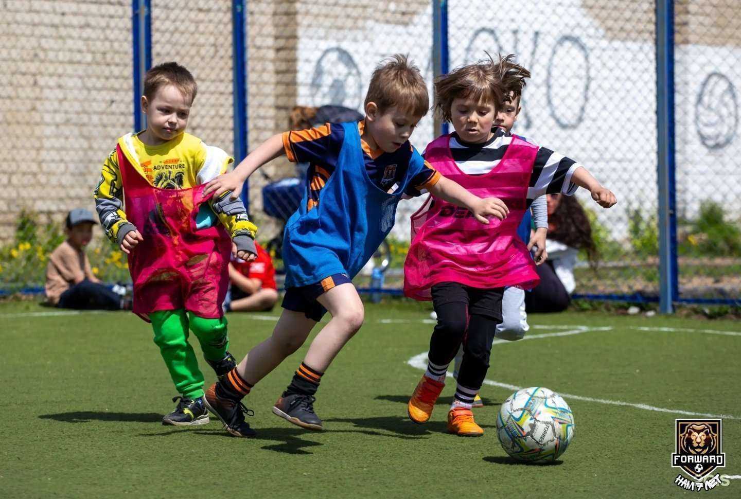 Отзывы на компанию Форвард в Чите c фото