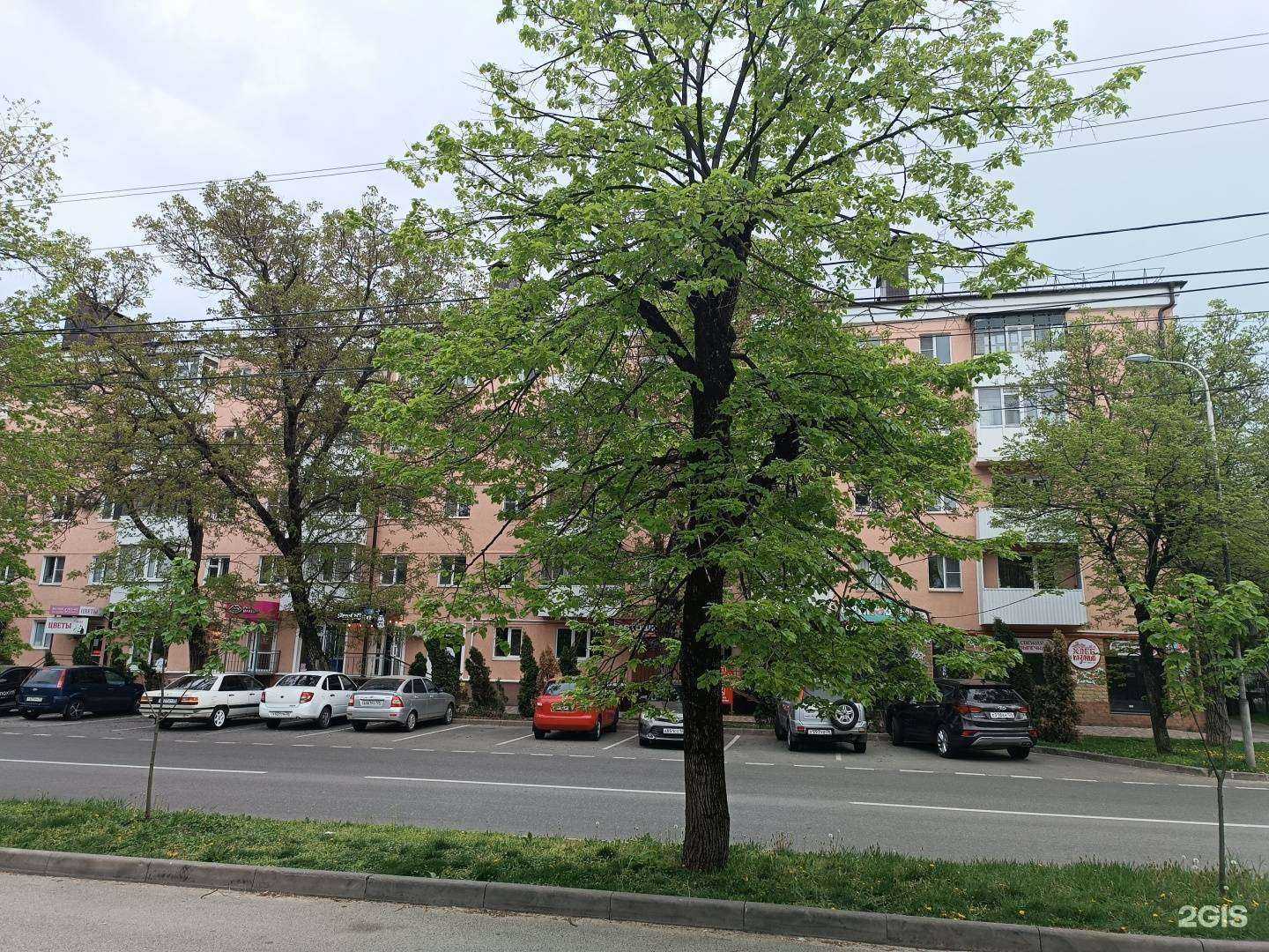 Отзывы на компанию ParoGen в Ставрополе c фото - фотография 2 из 2