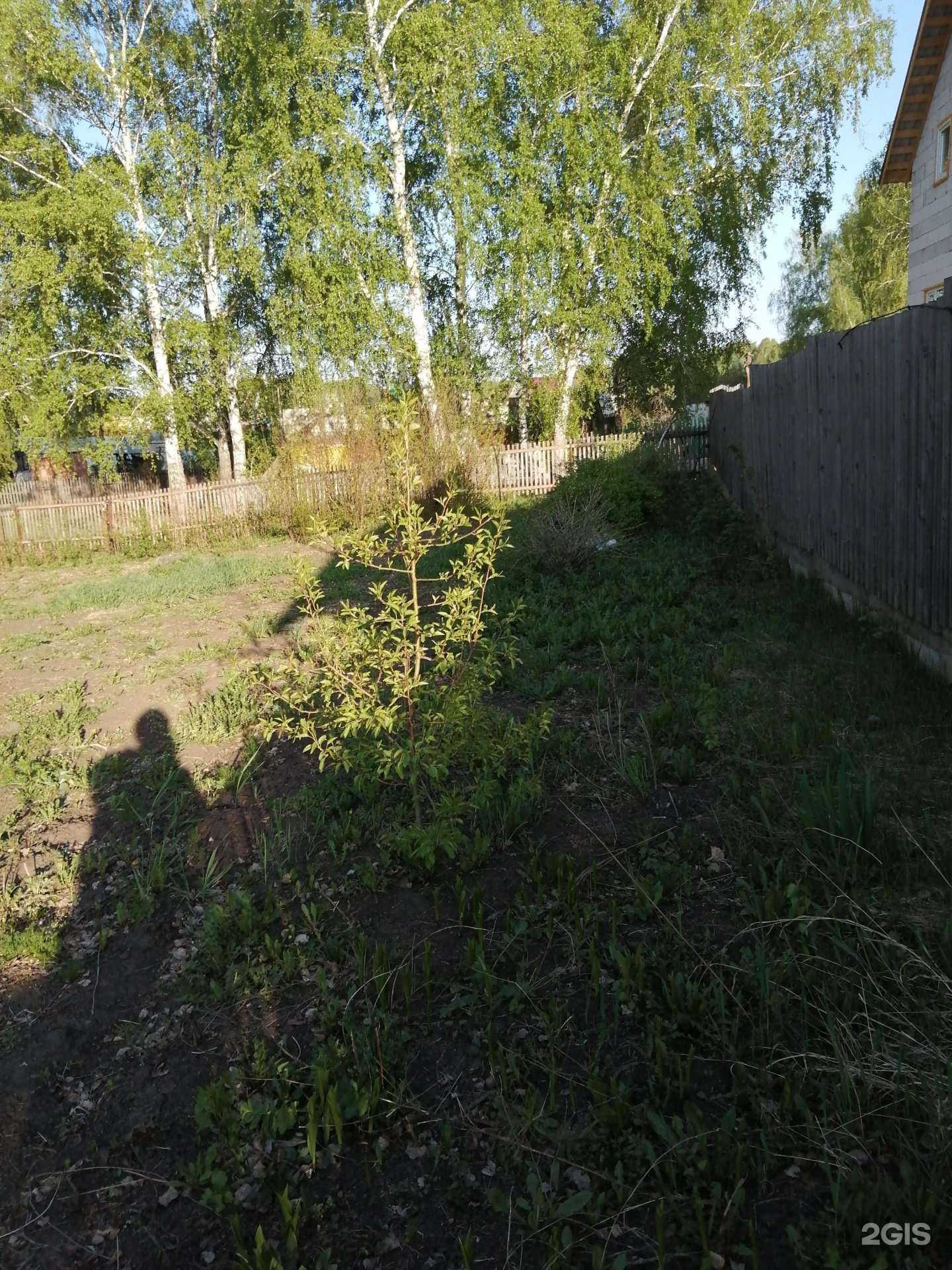 Отзывы на компанию Нск-Недвижимость в г. Бердск c фото