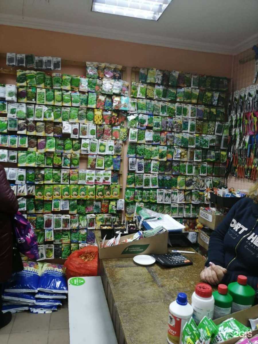 Отзывы на компанию Цветочный дворик в Твери c фото