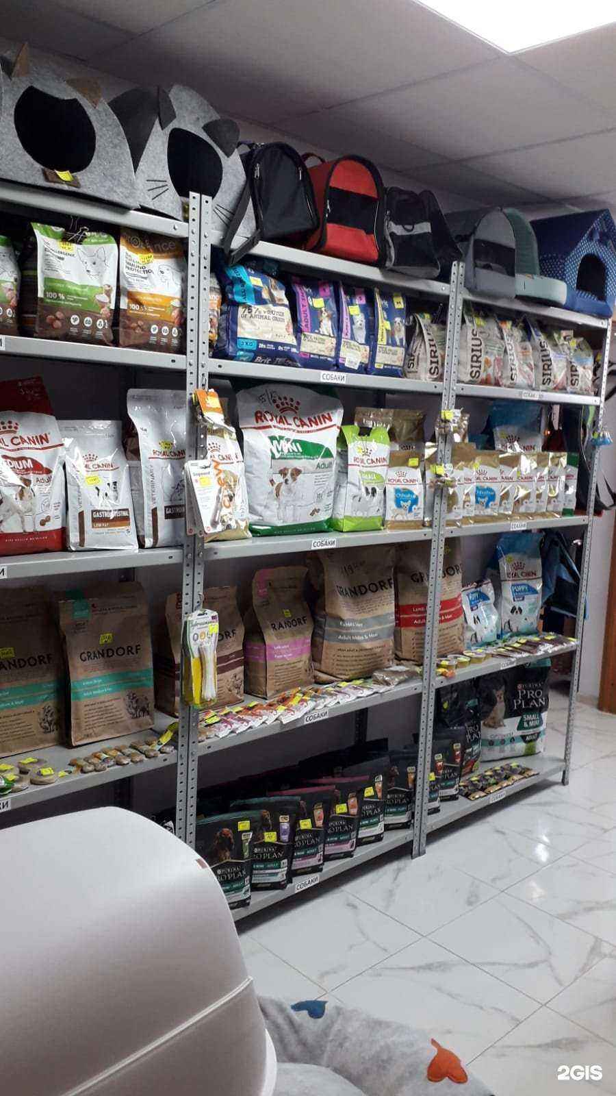 Отзывы на компанию Пушистый друг в Анапе c фото