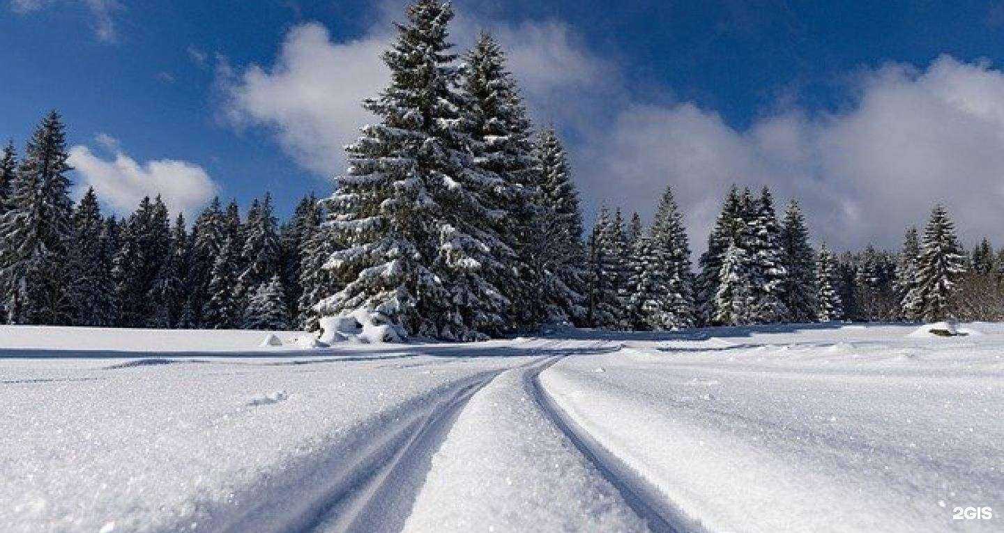 Отзывы на компанию Регион в г. Барнаул c фото