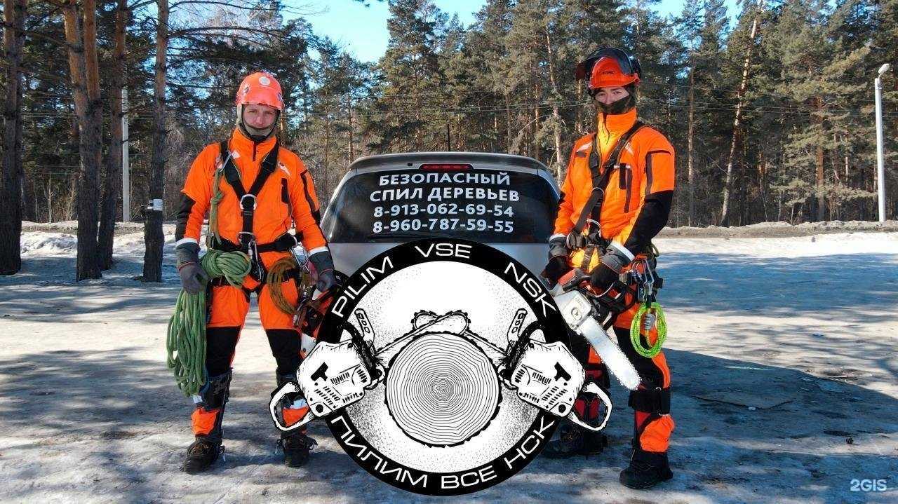 Отзывы на компанию Компания по спилу деревьев и арбористике в Новосибирске c фото