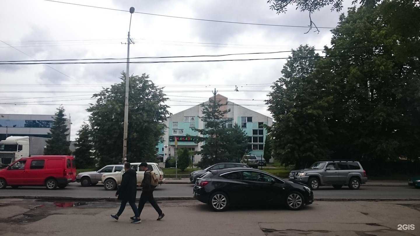 Отзывы на компанию Какаду в Калининграде c фото - фотография 2 из 2