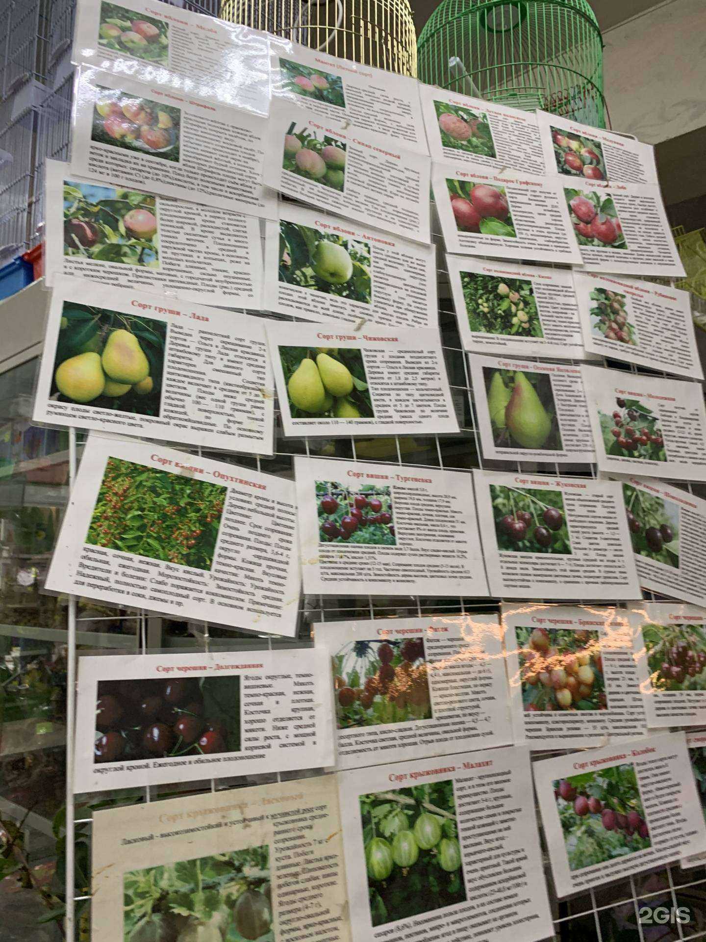 Отзывы на компанию Природа в г. Кострома c фото