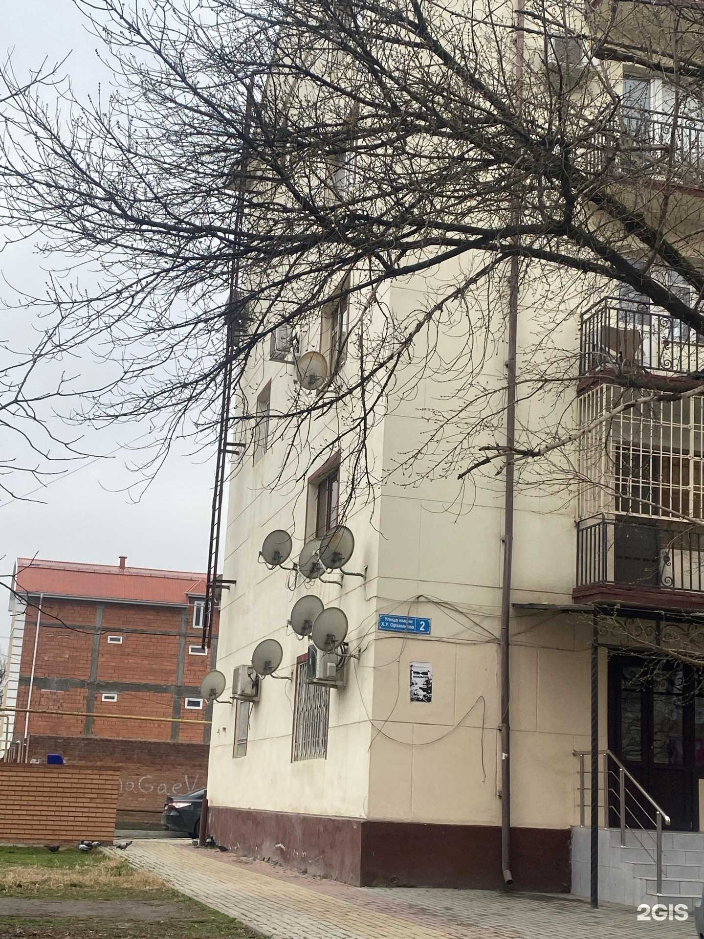 Отзывы на компанию билайн в Грозном c фото