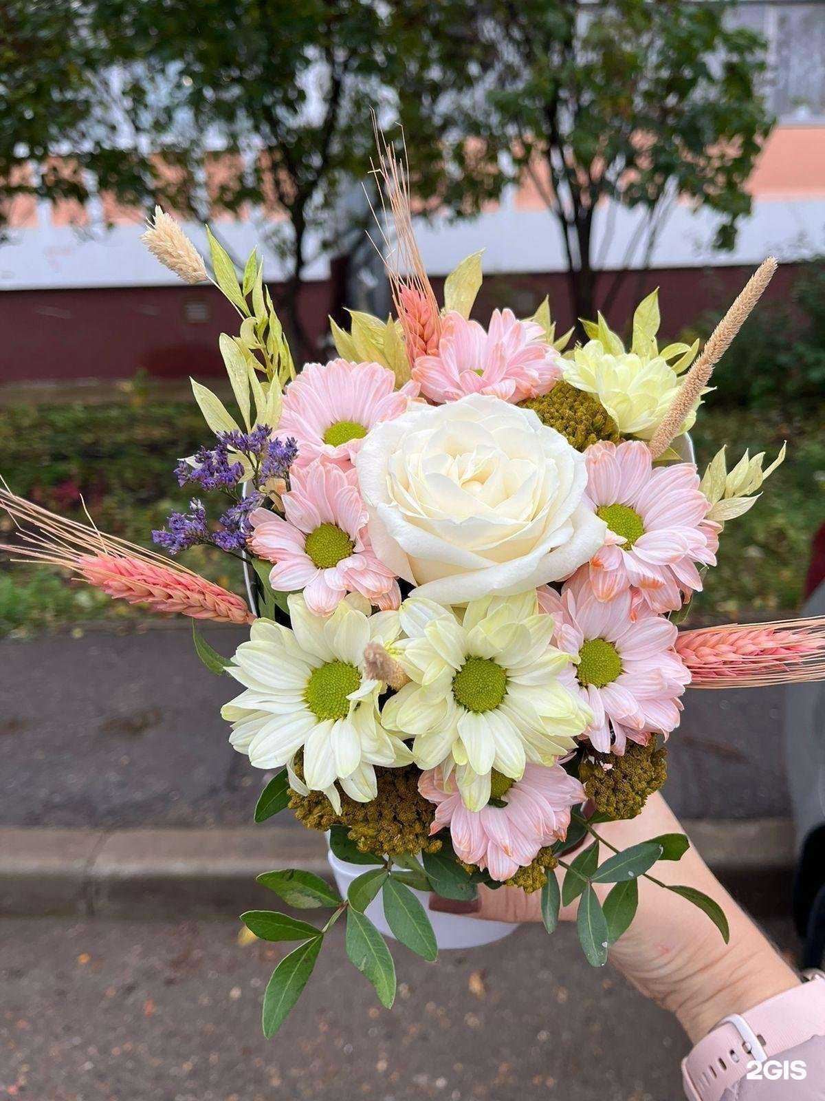 Отзывы на компанию Жасмина в г. Набережные Челны c фото