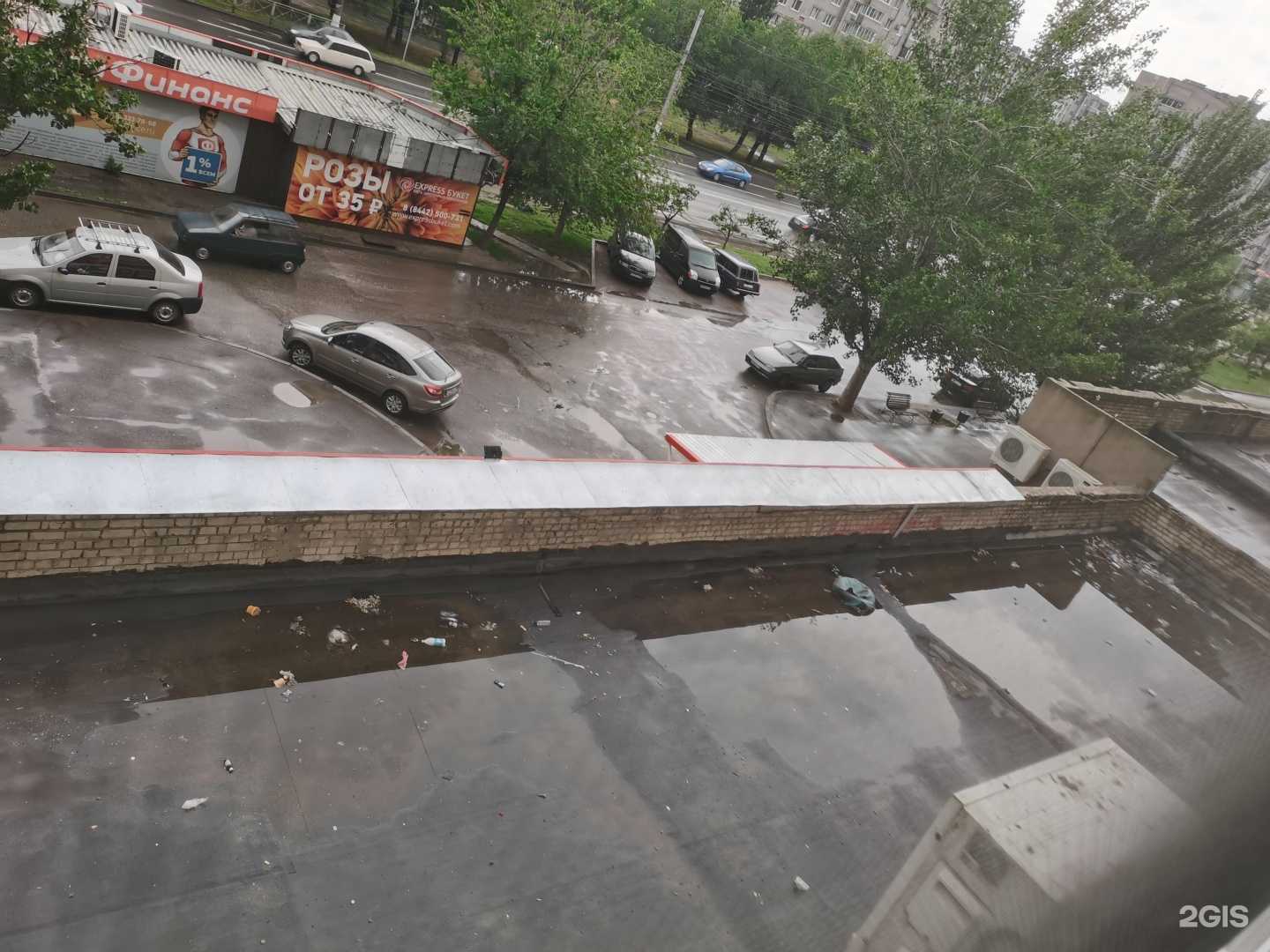 Отзывы на компанию Кабинет ветеринарного врача в Волгограде c фото - фотография 2 из 2