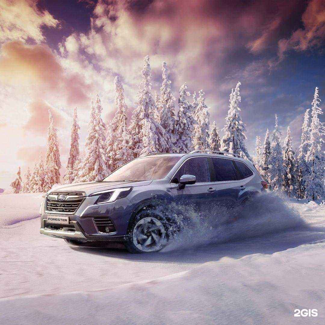 Отзывы на компанию Санрайз в г. Архангельск c фото