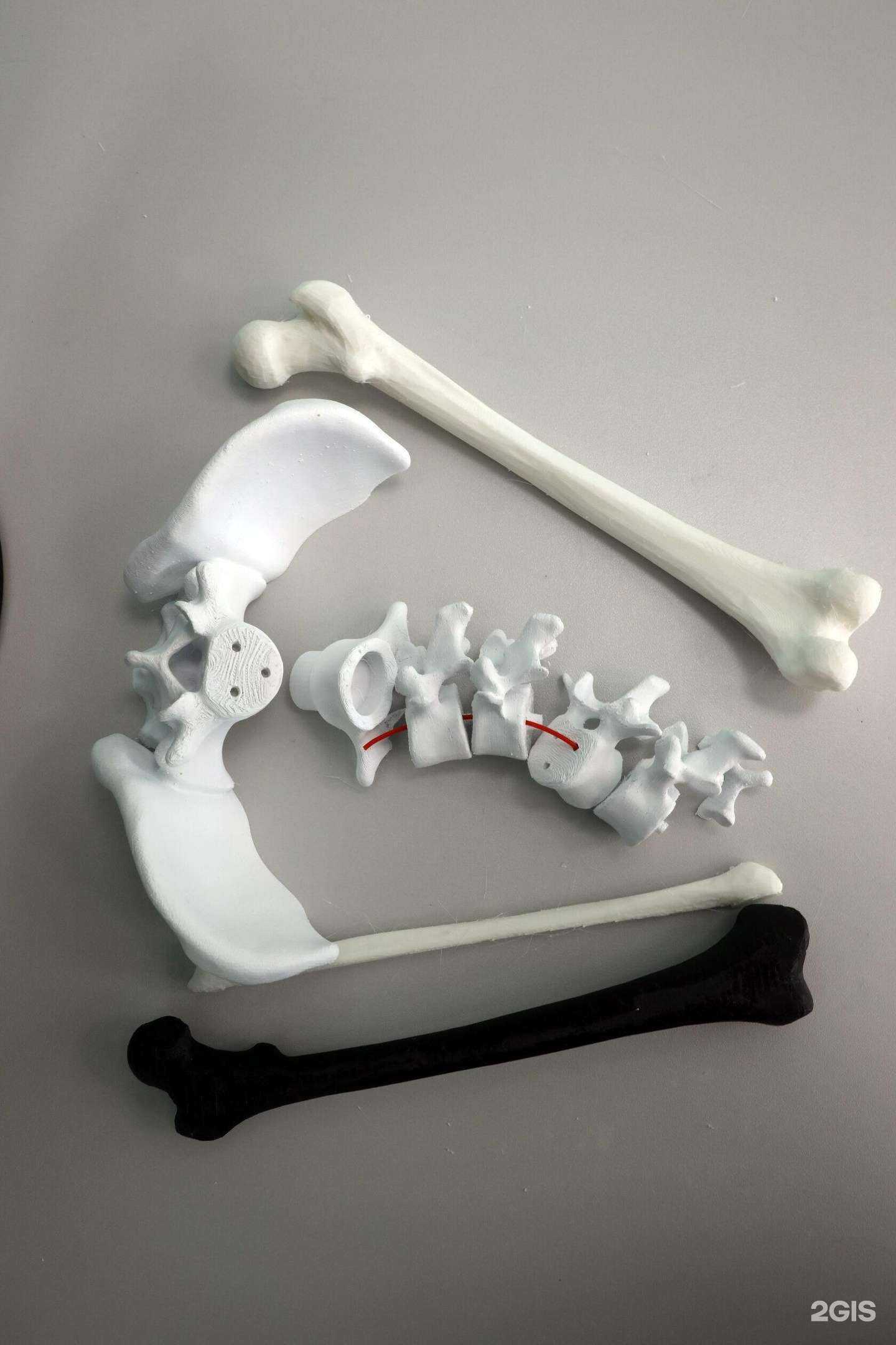 Отзывы на компанию ЦМИТ Биопечать в г. Волгоград c фото