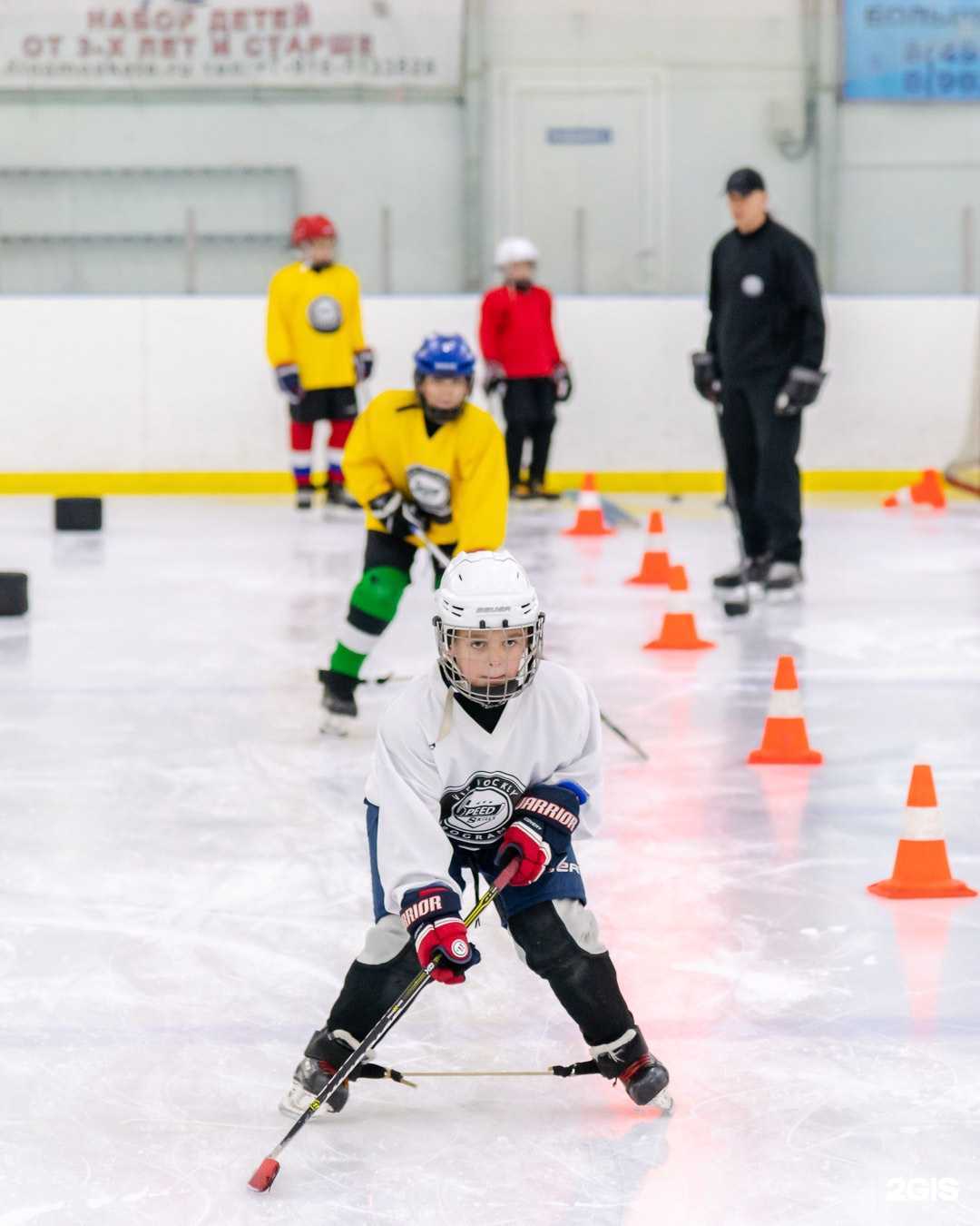 Отзывы на компанию Speedskillsprogram в Химках c фото