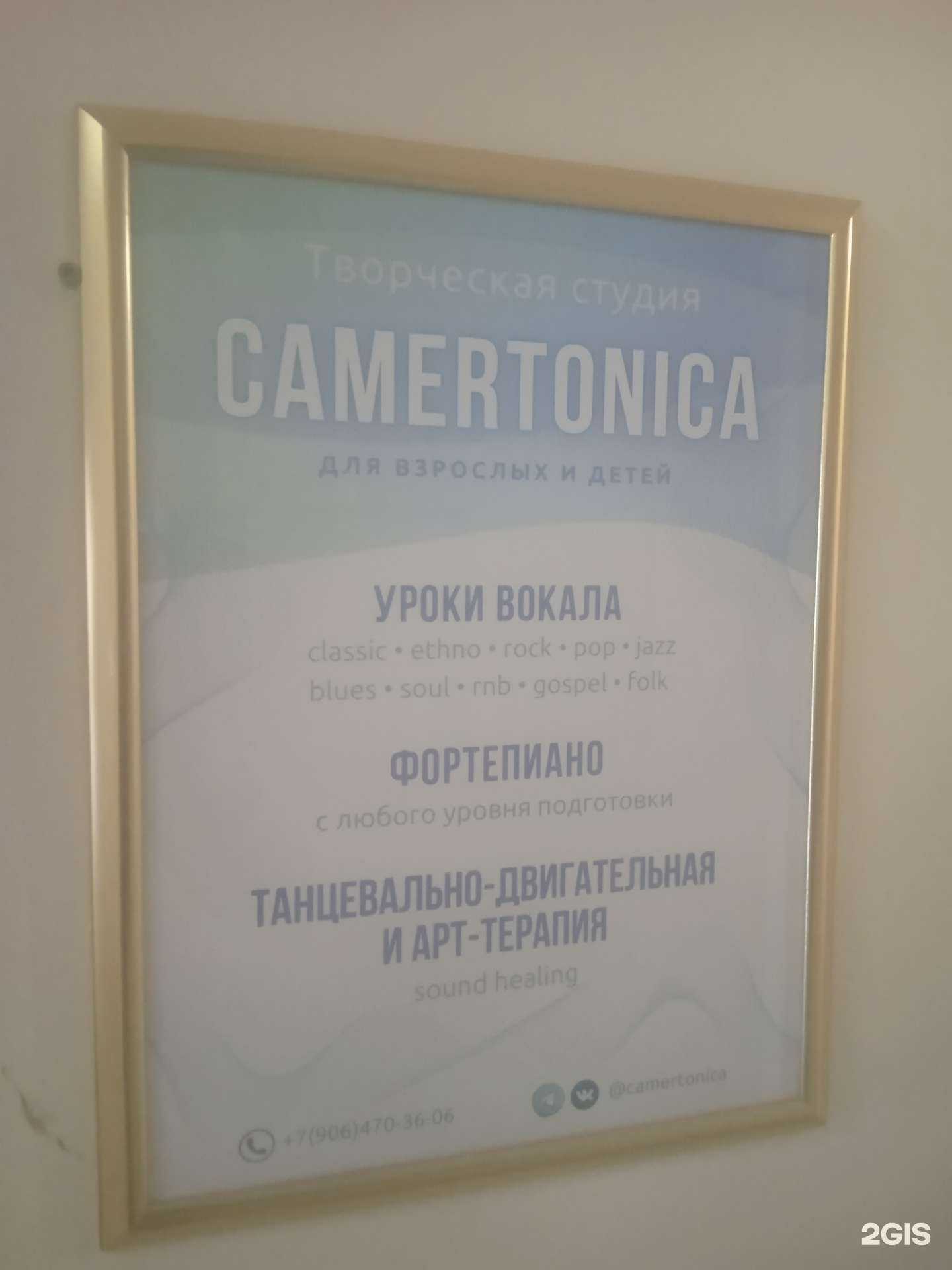 Отзывы на компанию Camertonica в г. Ставрополь c фото