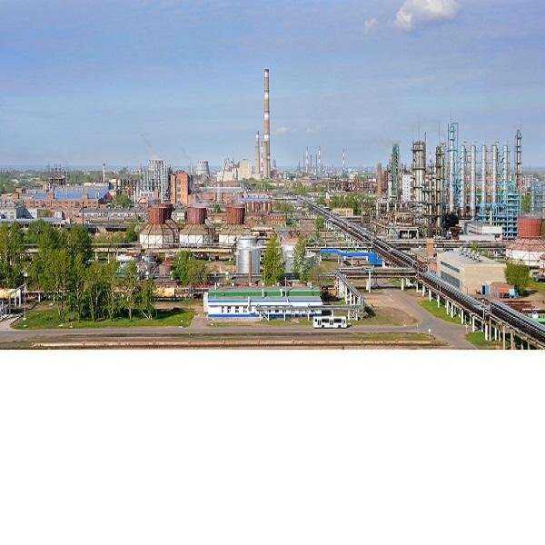 Отзывы на компанию Соб коршак в Омске c фото