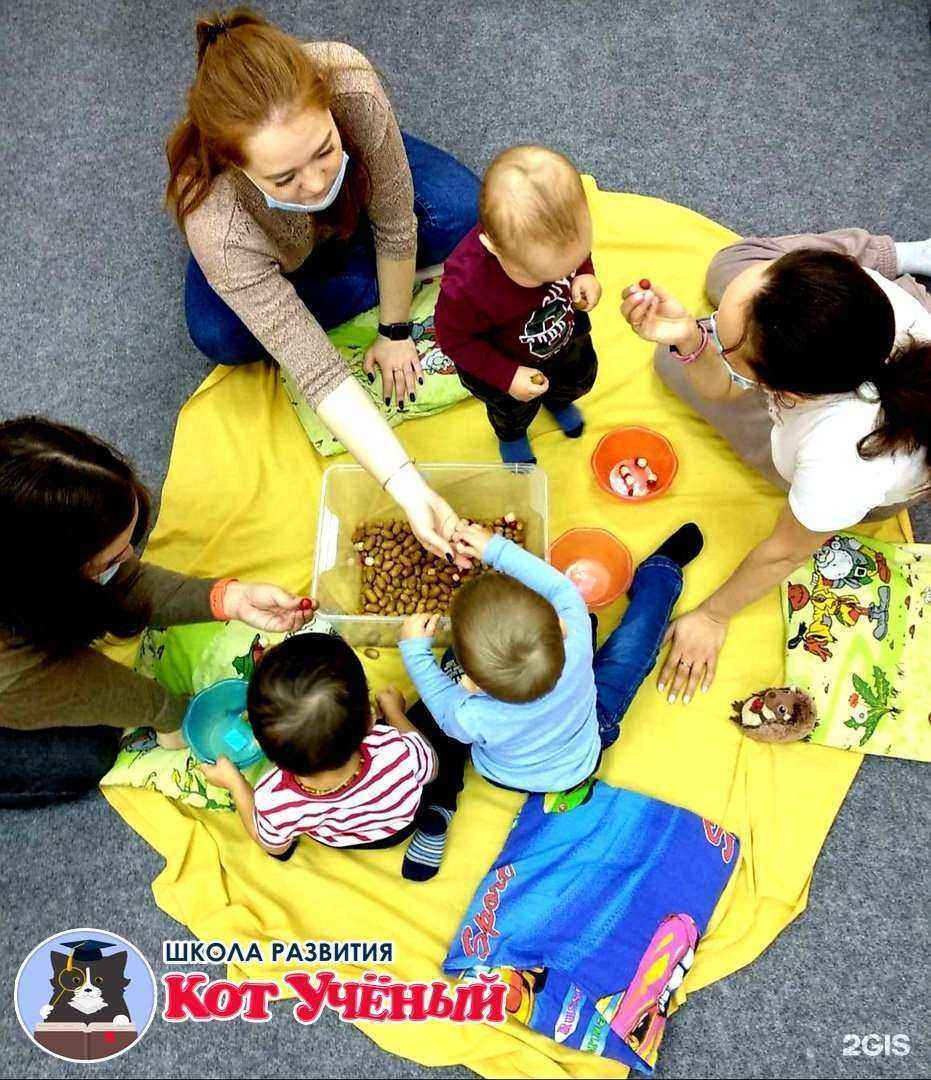 Отзывы на компанию Кот ученый в Перми c фото