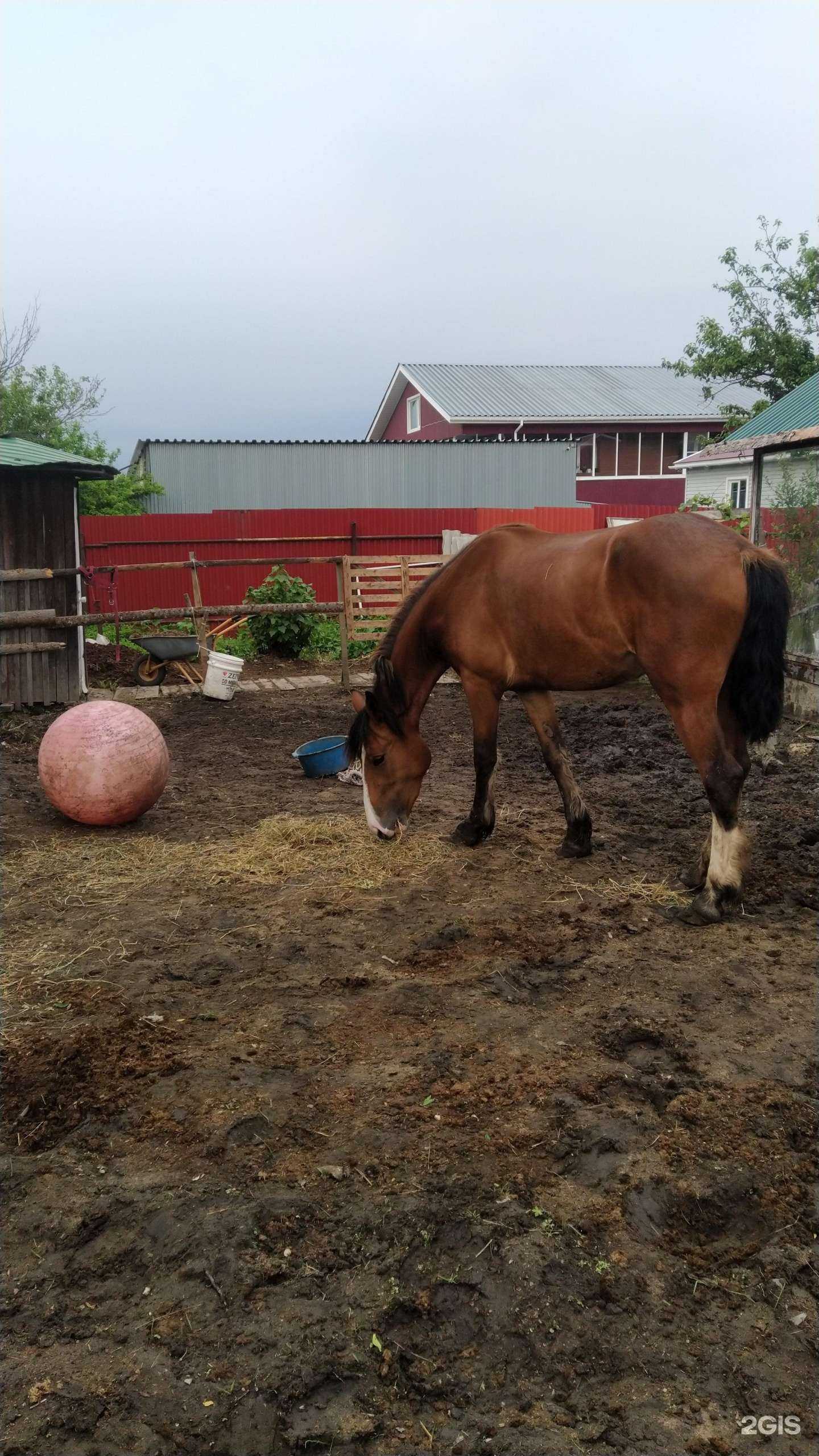 Отзывы на компанию Зарница в Хабаровске c фото