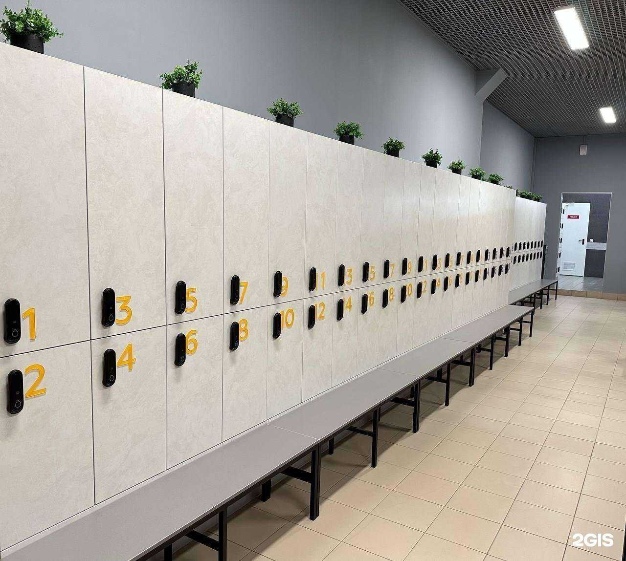 Отзывы на компанию Gym Station в г. Киров c фото