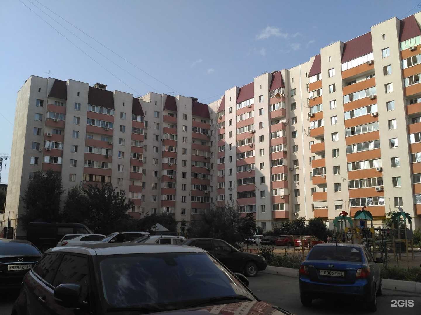 Отзывы на компанию Питомец в Энгельсе c фото - фотография 2 из 2