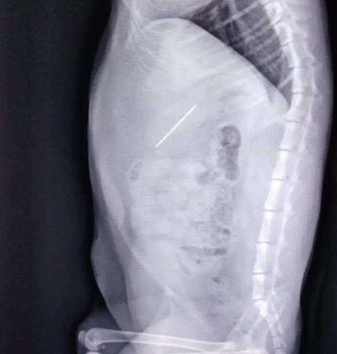 Отзывы на компанию Надежда в г. Заринск c фото