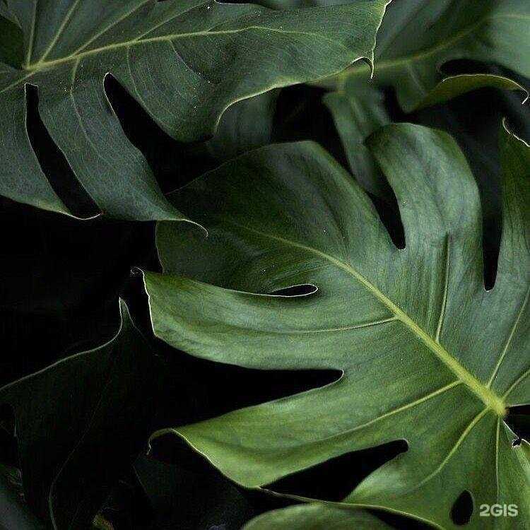 Отзывы на компанию Nova SPA в г. Йошкар-Ола c фото