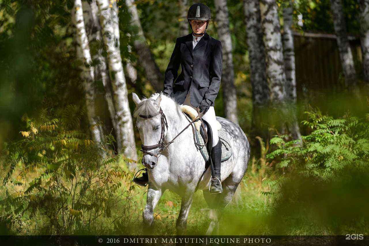 Отзывы на компанию Аллюр в Бердске c фото