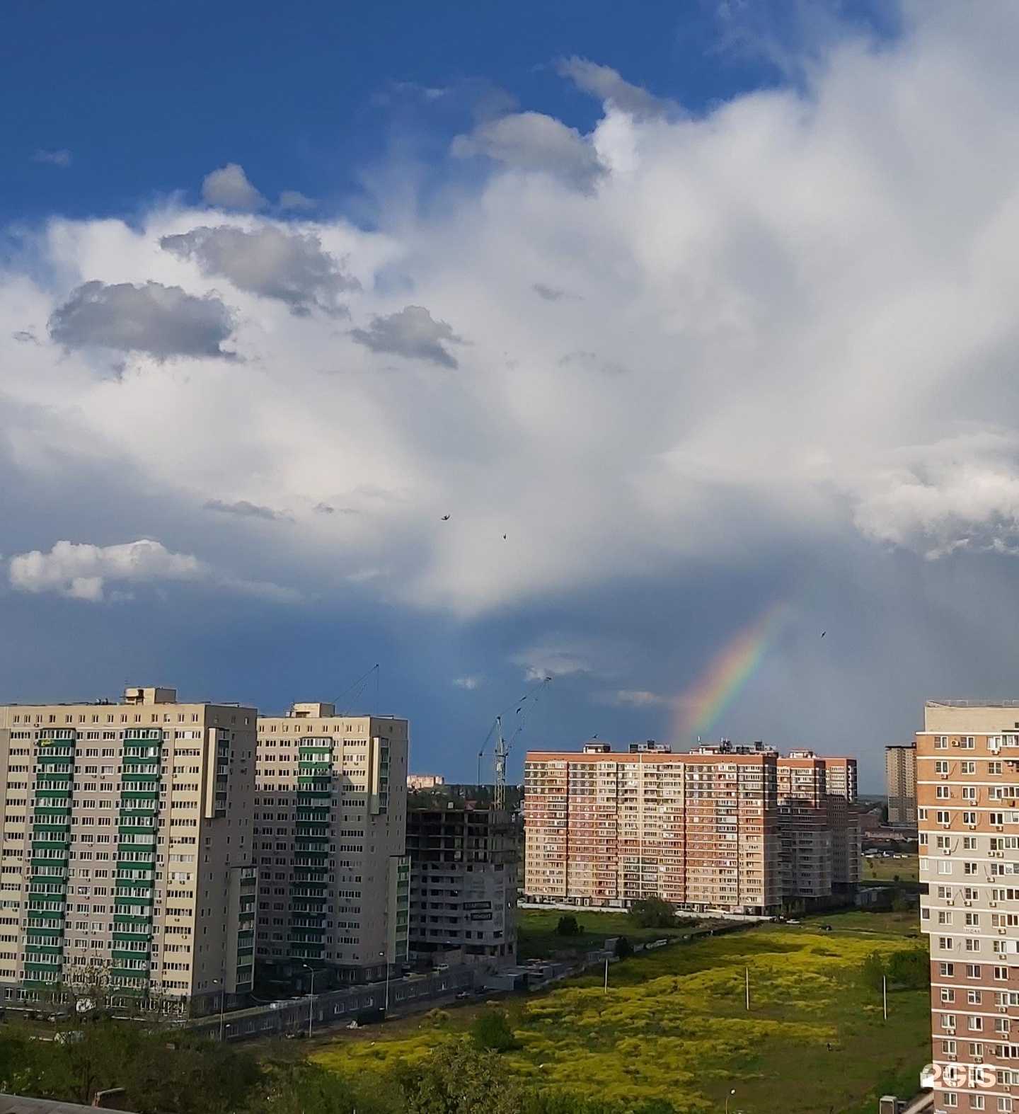 Отзывы на компанию Зиг-заг удачи в Краснодаре c фото - фотография 2 из 2