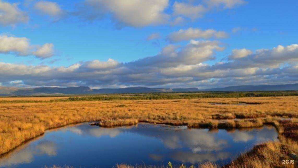 Отзывы на компанию СибАрис в Омске c фото