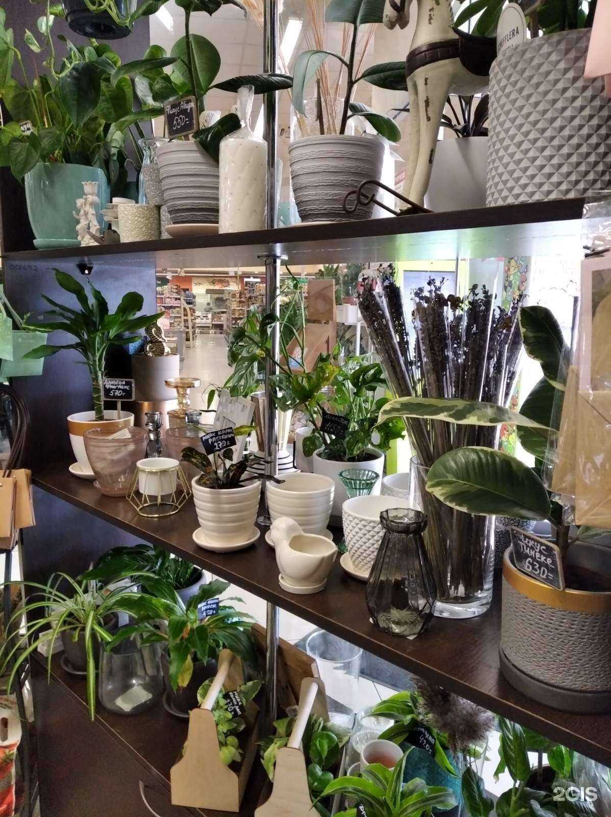 Отзывы на компанию Розенштрассе  в г. Гурьевск c фото