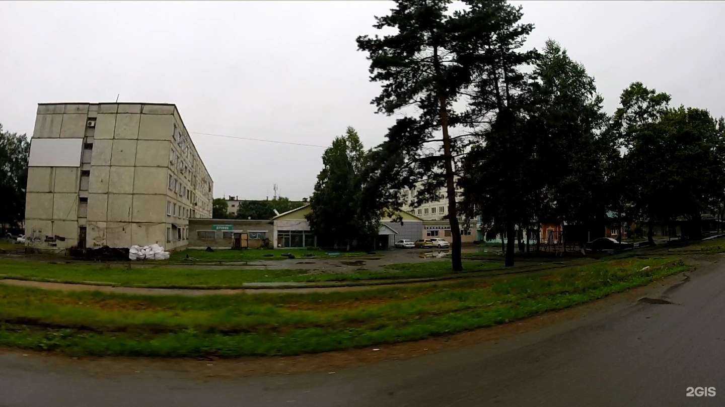 Отзывы на компанию Дружок в г. Артём c фото