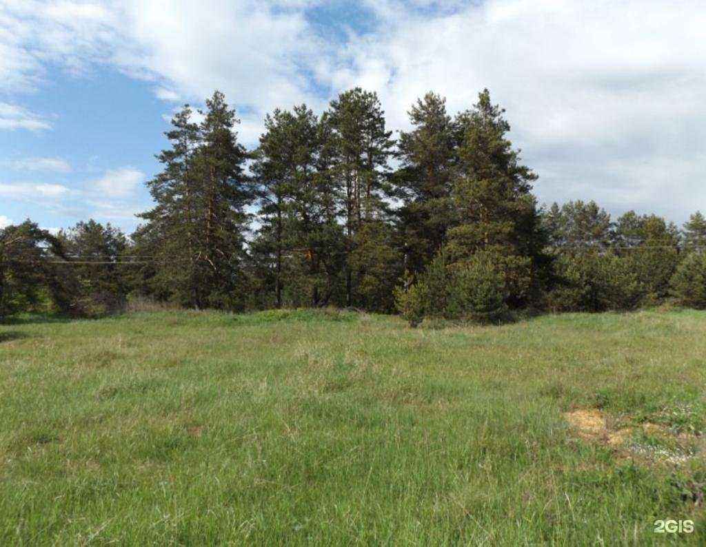 Отзывы на компанию Terra nova в Твери c фото