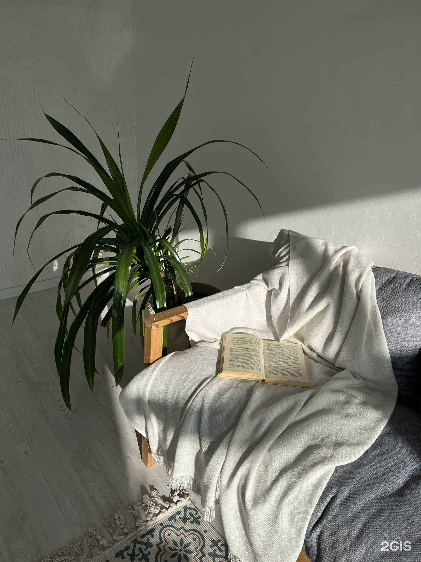 Отзывы на компанию Visual studio в г. Новосибирск c фото