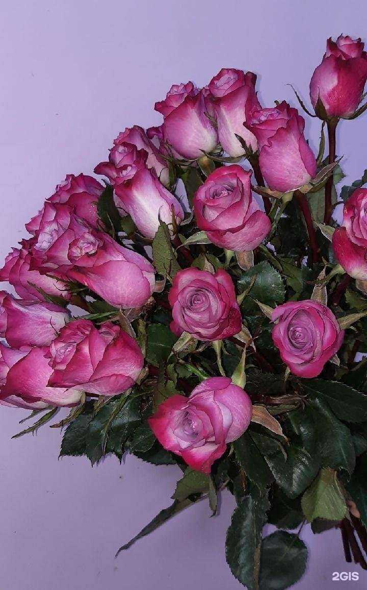 Отзывы на компанию ЦветТорг в Кургане c фото