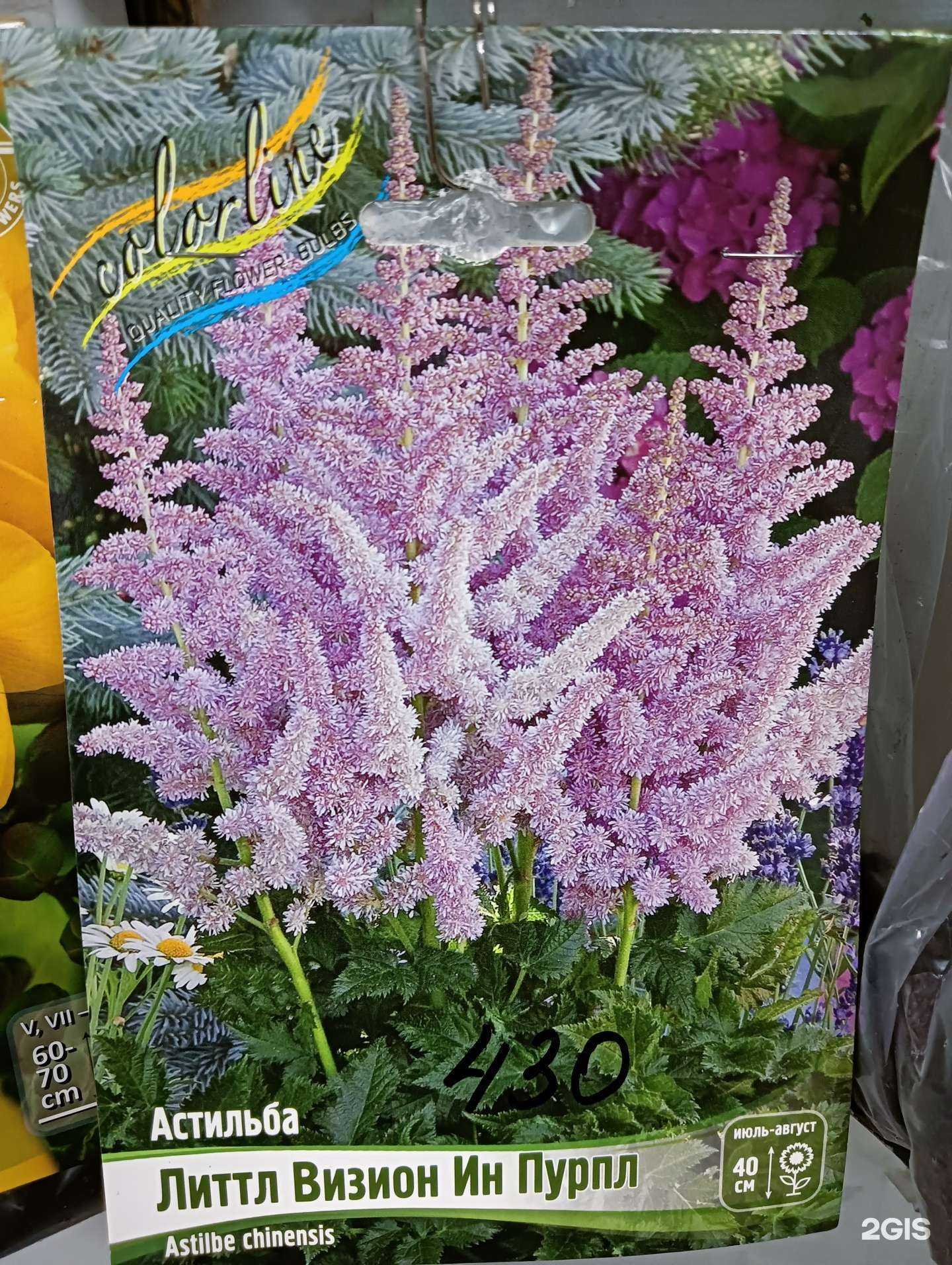 Отзывы на компанию Чудосад в г. Челябинск c фото