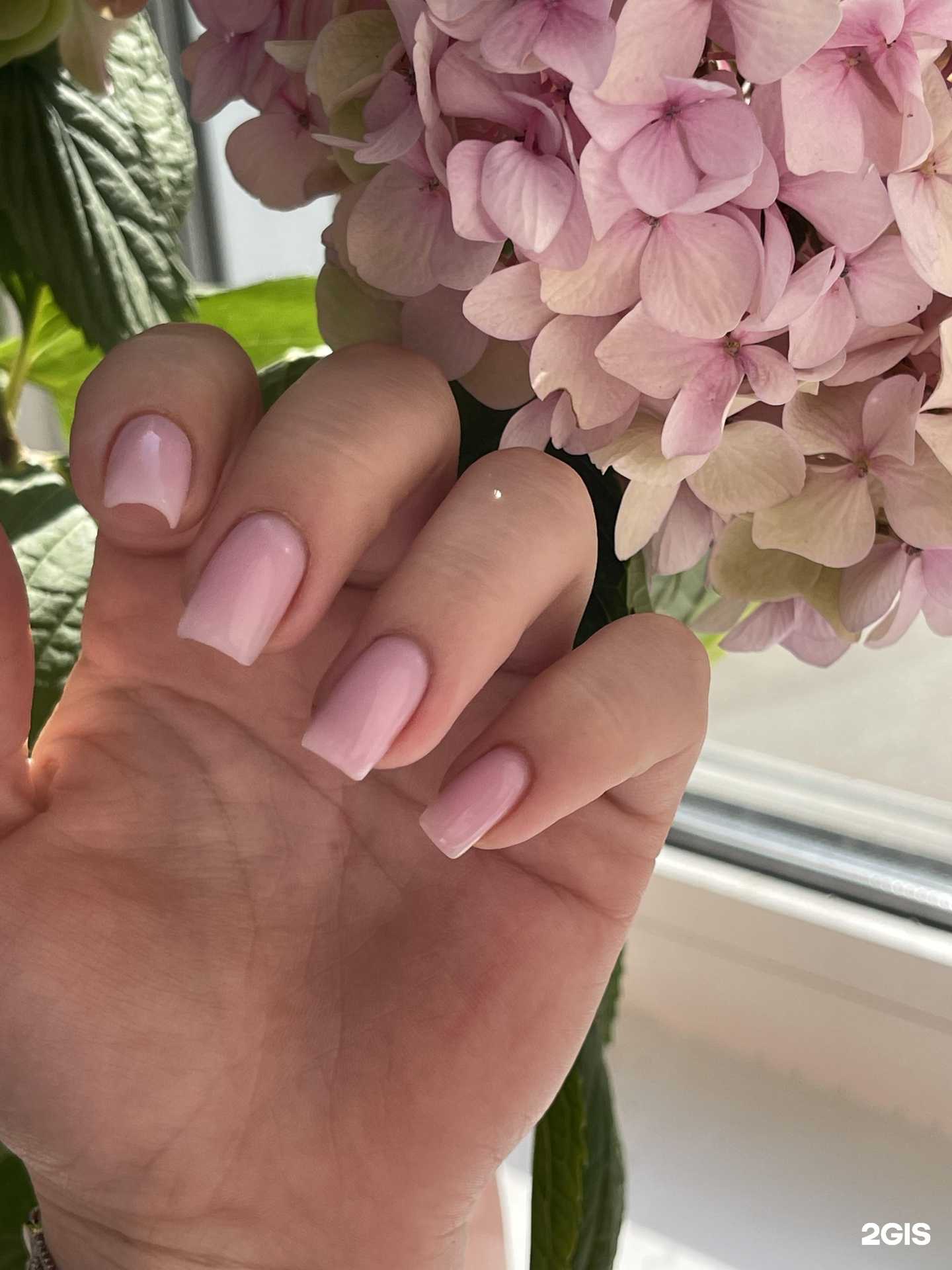 Отзывы на компанию Ты wow в Нижнем Новгороде c фото