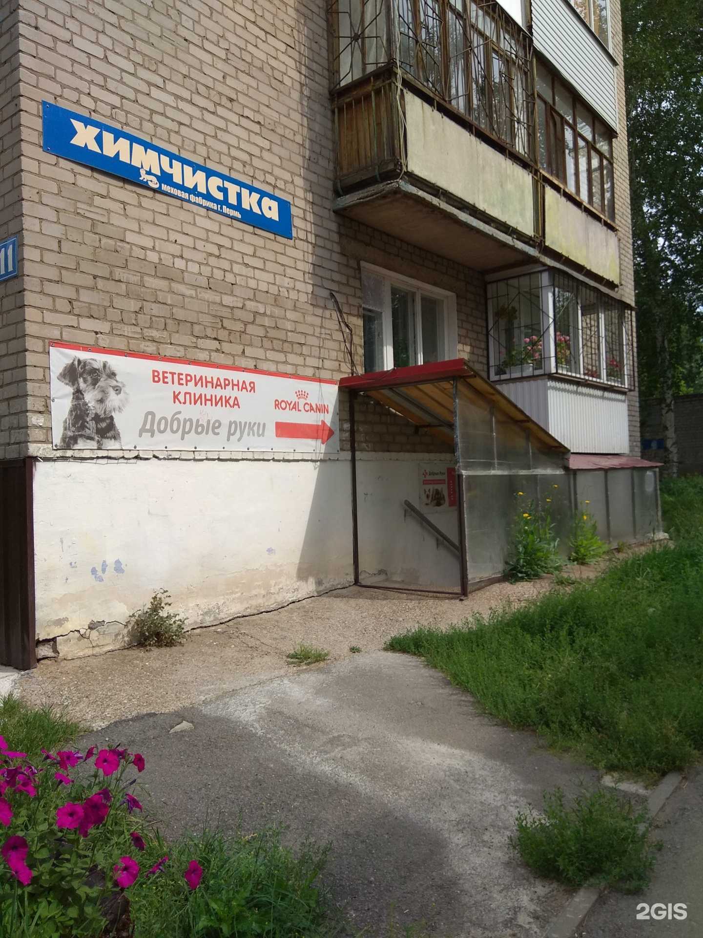 Отзывы на компанию Добрые руки в г. Пермь c фото