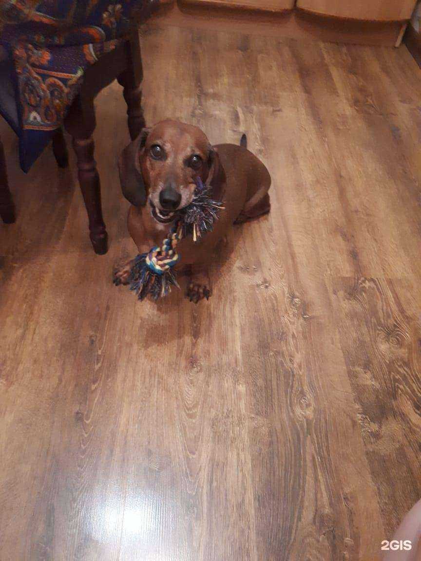 Отзывы на компанию Пантера в г. Аксай c фото