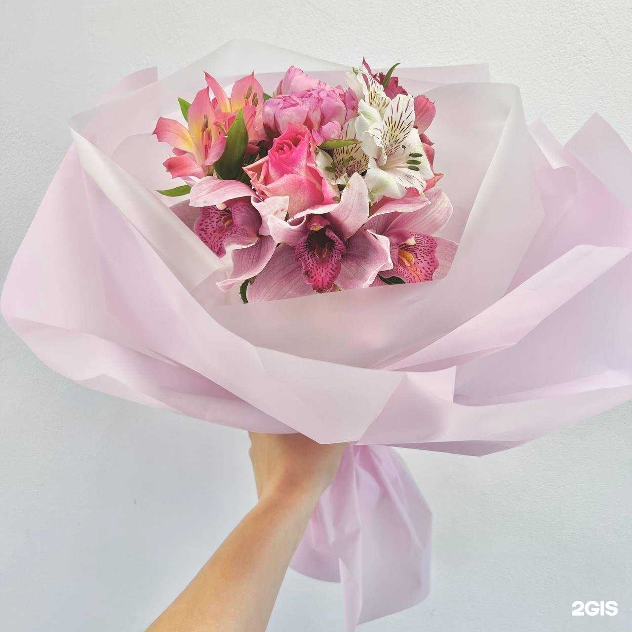 Отзывы на компанию Чао! в г. Самара c фото