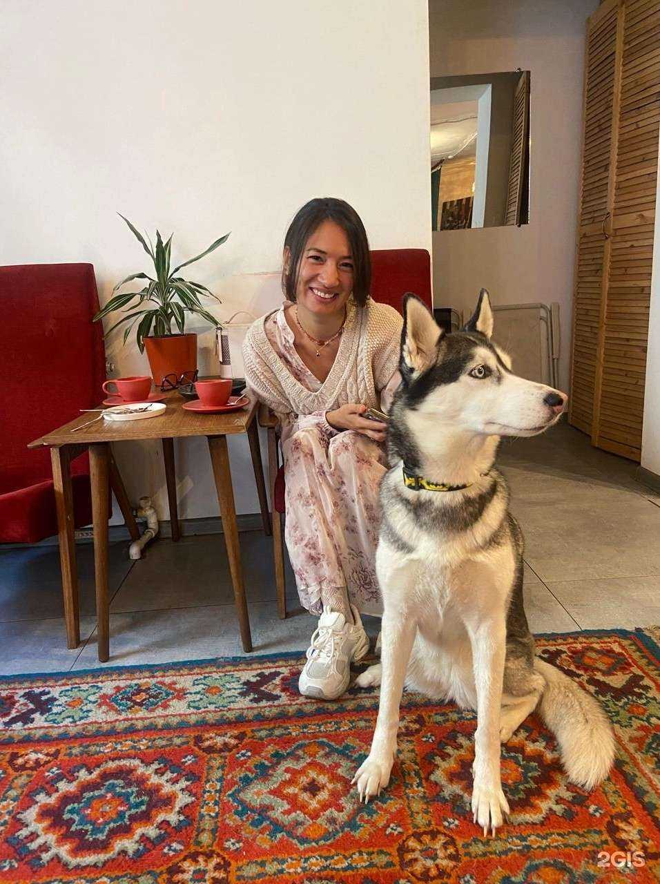 Отзывы на компанию Кафема в г. Владивосток c фото