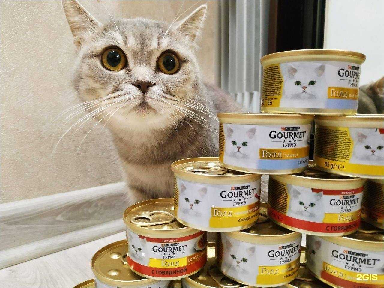 Отзывы на компанию Бишенели в г. Пермь c фото