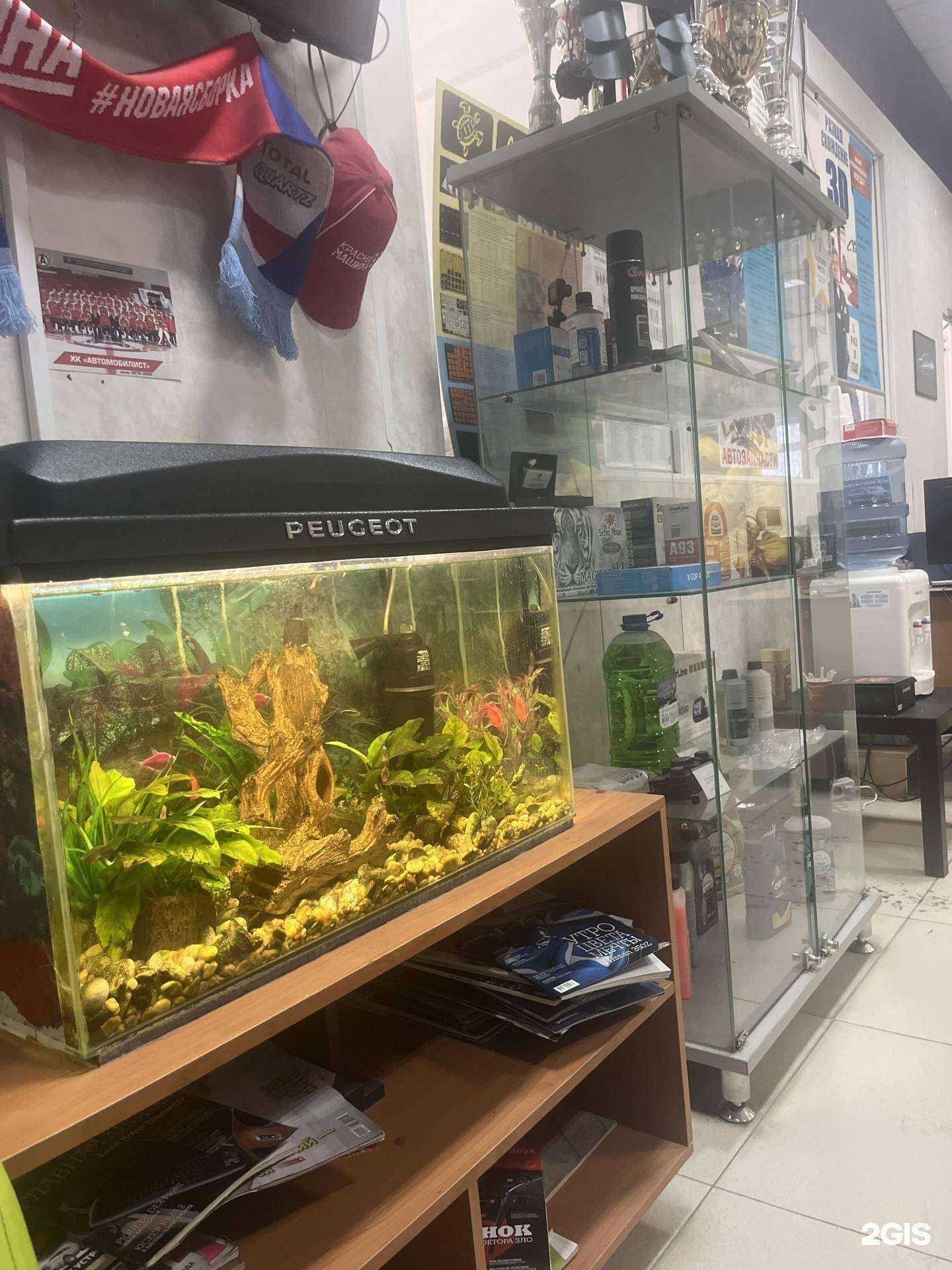 Отзывы на компанию Франсмоторс+ в Екатеринбурге c фото