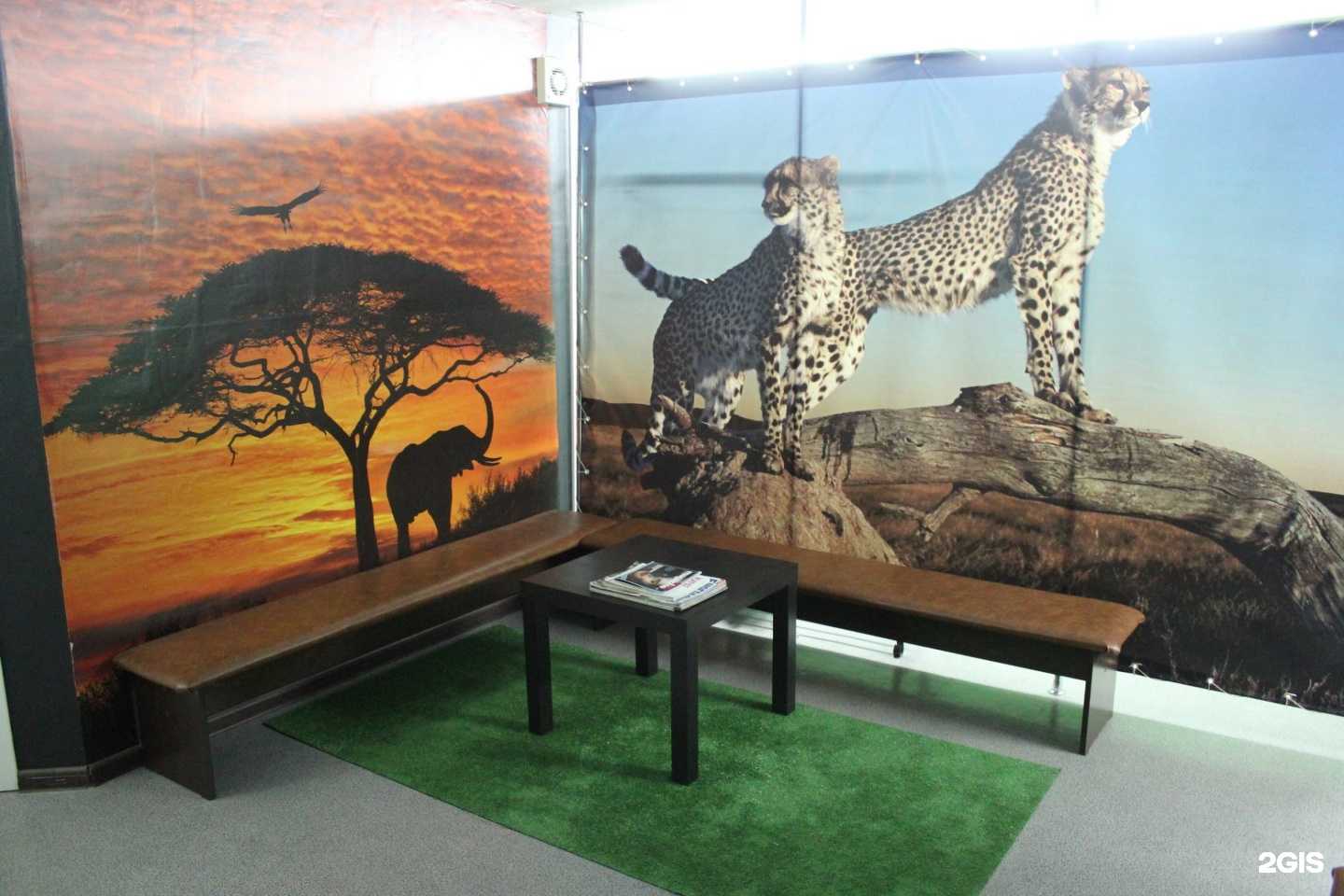 Отзывы на компанию Джой в Новосибирске c фото