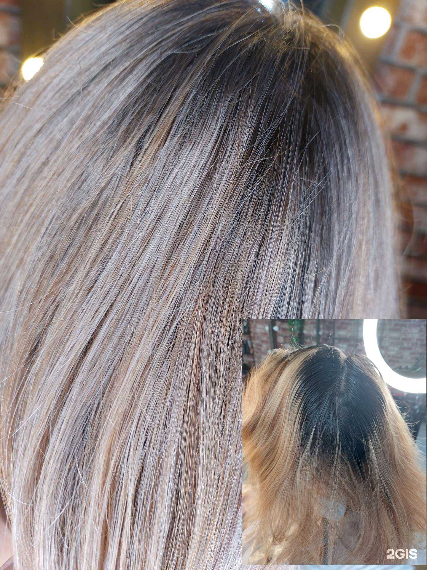 Отзывы на компанию Lion в Краснодаре c фото