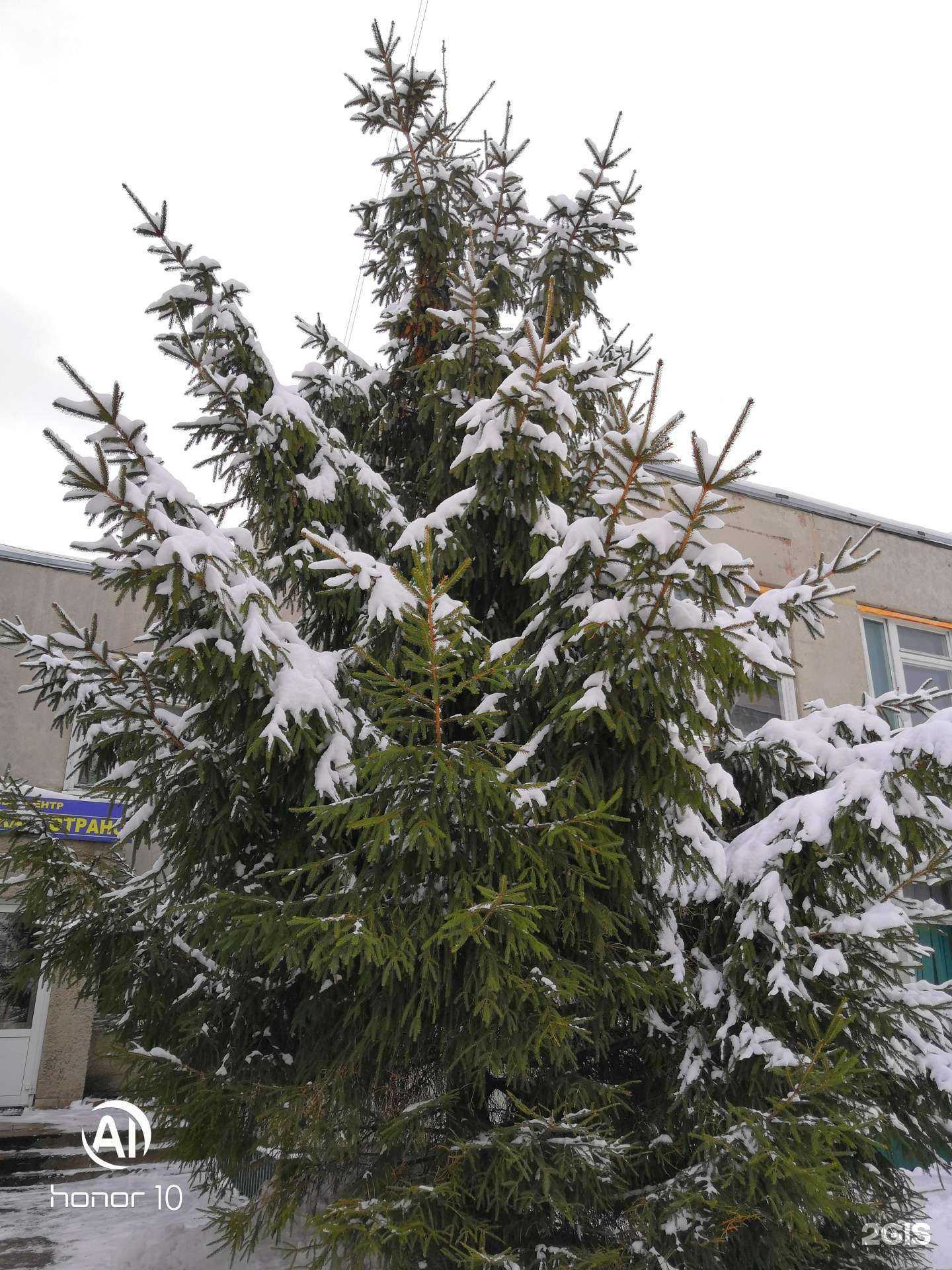 Отзывы на компанию Efendy в Ульяновске c фото - фотография 2 из 2