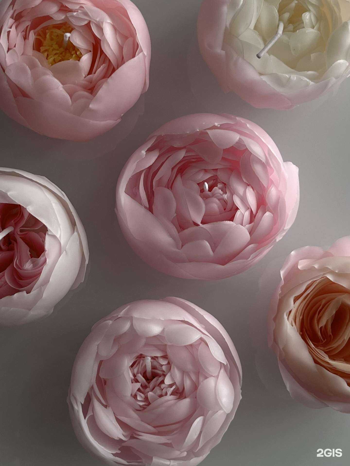 Отзывы на компанию Fan Fan в Липецке c фото